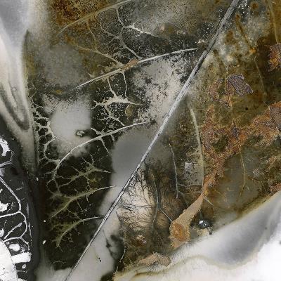 Leaf No.30